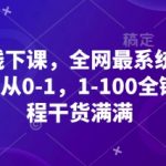 小红书全网首套颠覆式增长体系！零基础逆袭10万粉：12节实战课手把手教你从0-100全链路打造爆款账号！