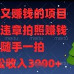 月入3万暴利副业曝光！交警内部渠道教你随手拍违章日赚500元