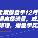 短视频全案操盘手秘籍大公开！7天自然流量狂飙，现象级IP打造实战课，限时解锁行业领袖亲授！
