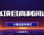 2025年虚拟选品爆单秘籍：单店月入3W+，零成本躺赚可多店复制！