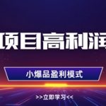 2025年虚拟选品爆单秘籍：单店月入3W+，零成本躺赚可多店复制！