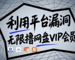 10秒破解平台漏洞!无限白嫖百度/迅雷VIP会员(亲测有效不封号)【独家漏洞解析+手把手教程】
