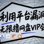 10秒破解平台漏洞!无限白嫖百度/迅雷VIP会员(亲测有效不封号)【独家漏洞解析+手把手教程】