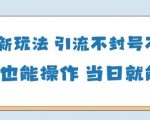国学引流爆火！小白零基础3步日赚300+，不封号当日变现教程