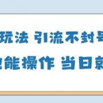 国学引流爆火！小白零基础3步日赚300+，不封号当日变现教程