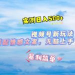 微信视频号爆单秘籍！表情包+情感文案新玩法，零基础2分钟出片，小白日入800+实操攻略[1][9][11][12]