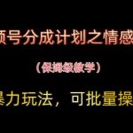 视频号情感赛道保姆级教学：普通人3天掌握月入5万+暴利玩法！保姆级教学+批量操作+分成计划揭秘！