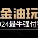 2024-2025最强付费玩法揭秘！万金油变现日赚10W+全实操教程（4月最新更新躺赚版）