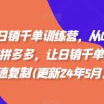 拼多多日销千单爆款实操秘籍！零基础小白必看：7天速成+流量暴涨技巧（2025最新版）