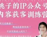 公众号SEO优化实战：3天打造商业闭环！精准客户暴涨500%的变现秘籍（限时开放）