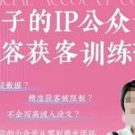 公众号SEO优化实战：3天打造商业闭环！精准客户暴涨500%的变现秘籍（限时开放）
