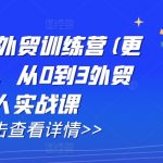 AI外贸爆单秘籍：7天速成独立站搭建+百万客户开发实战，万人疯抢的25年最新版课程！