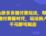 2025拼多多强付费玩法揭秘：千元预算轻松起店，日销破千的爆款公式！