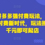 2025拼多多强付费玩法揭秘：千元预算轻松起店，日销破千的爆款公式！