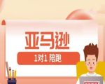 亚马逊1对1陪跑课｜3天掌握FBA/FBM精铺实战技巧，零基础逆袭跨境大卖！