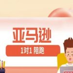 亚马逊1对1陪跑课｜3天掌握FBA/FBM精铺实战技巧，零基础逆袭跨境大卖！
