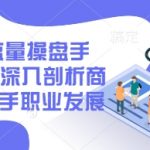2025最新！IP流量操盘手速成班：从0到1打造爆款IP 揭秘年薪百万路径（限时报名）