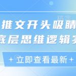 2024小说推文爆款秘籍：3步打造日赚1000+的吸金开篇！底层逻辑实操大揭秘，新手也能快速起号变现！