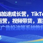 2025TikTok电商爆单秘籍：零基础入门基建选品+店铺运营全攻略！手把手教你视频带货、直播转化与百万流量广告投流实战班