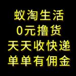 拼夕夕暴利搬砖+快递回收新玩法！0门槛日赚500+ 团队躺赚10万+（2025最新实测）