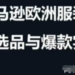 2025跨境电商选品爆单秘籍：破解万亿级蓝海市场的选品策略与运营优化实战案例