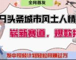 头条中视频计划爆款秘籍！城市骂战疯狂吸粉 0门槛操作躺赚10000+元攻略曝光