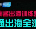 【SEO优化版标题】：10天手把手教学！从0到1跑通出海全流程，实战拆解月入百万案例+小白逆袭巨头秘籍