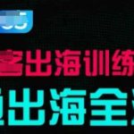 【SEO优化版标题】：10天手把手教学！从0到1跑通出海全流程，实战拆解月入百万案例+小白逆袭巨头秘籍