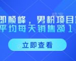 重回巅峰！2024最暴利男粉项目实测：单号日入过万保姆级教程（附日销4W+案例）