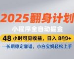 2025小程序暴利项目！48小时躺赚日入800+，宝妈必备永久管道收入，独家爆料！