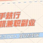 2024最新手机副业暴利项目！日入300+零门槛躺赚攻略，提现秒到账，小白轻松逆袭（抓紧收藏）