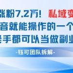 抖音私域变现暴增秘籍！3天23作品狂涨粉7.2W+轻松狂赚10W+