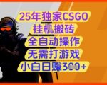 2025最新CSGO挂机搬砖项目！全自动躺赚日入300+ 零门槛小白速成 内幕曝光