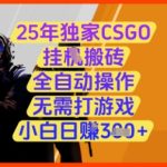 2025最新CSGO挂机搬砖项目！全自动躺赚日入300+ 零门槛小白速成 内幕曝光