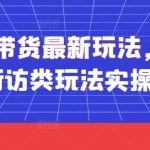 2025短视频带货爆单秘籍：街访类玩法3天引爆流量，日销10W+实操全流程！
