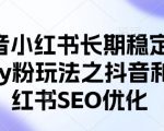 2023最新抖音小红书SEO优化终极指南！7天引流CY粉破万+，零封号秘籍大公开