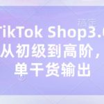 东南亚TikTok Shop3.0实战课程：零基础到日销破万，手把手教你运营出单技巧！1310