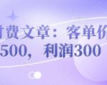 暴利项目揭秘：客单价500+冷门蓝海，单笔利润300+的躺赚攻略12