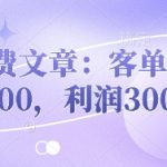 暴利项目揭秘：客单价500+冷门蓝海，单笔利润300+的躺赚攻略12