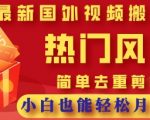 2025最新视频搬砖项目！零基础小白月入5位数保姆教程，3步学会去重剪辑躺赚风口红利！