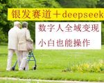 银发经济+DeepSeek AI数字人：零门槛新手月入30万，揭秘全域变现爆单秘籍！