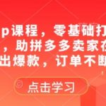 2025拼多多运营爆款秘籍：零基础新手3天快速上手，月入10万+订单暴涨实战教程（附独家流量密码）