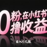零粉丝也能爆单！小红书素人日入500+的躺赚攻略，当天见效！