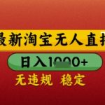 2025淘宝无人直播暴利玩法！日入1000+躺赚秘籍，零封号防封技术，小白三天快速上手