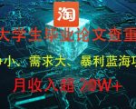 2024大学生暴利蓝海项目！毕业论文查重躺赚3W+ 90%人不知道的低成本副业
