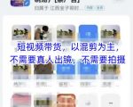 短视频带货爆单秘籍｜头部团队亲测混剪技术，零门槛无需真人拍摄，日入过万新手必看！