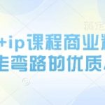 2025最新AI绘画+IP课程零基础速成课：解锁全网首发变现秘籍，轻松月入过万的捷径指南