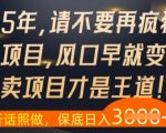 2025年找项目必看！10大血泪教训曝光，99%的人看完秒懂赚钱真相！