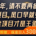 2025年找项目必看！10大血泪教训曝光，99%的人看完秒懂赚钱真相！