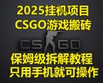 2025CSGO搬砖暴利项目：手机躺赚月入5W+ 零基础保姆级教程大揭秘！